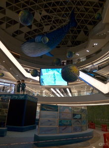 易車湖南車友會 駛入星城文創潮流，探索長沙城市新脈動